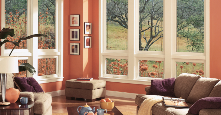  long-lasting windows